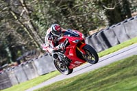 Oulton-Park-20th-March-2020;PJ-Motorsport-Photography-2020;anglesey;brands-hatch;cadwell-park;croft;donington-park;enduro-digital-images;event-digital-images;eventdigitalimages;mallory;no-limits;oulton-park;peter-wileman-photography;racing-digital-images;silverstone;snetterton;trackday-digital-images;trackday-photos;vmcc-banbury-run;welsh-2-day-enduro